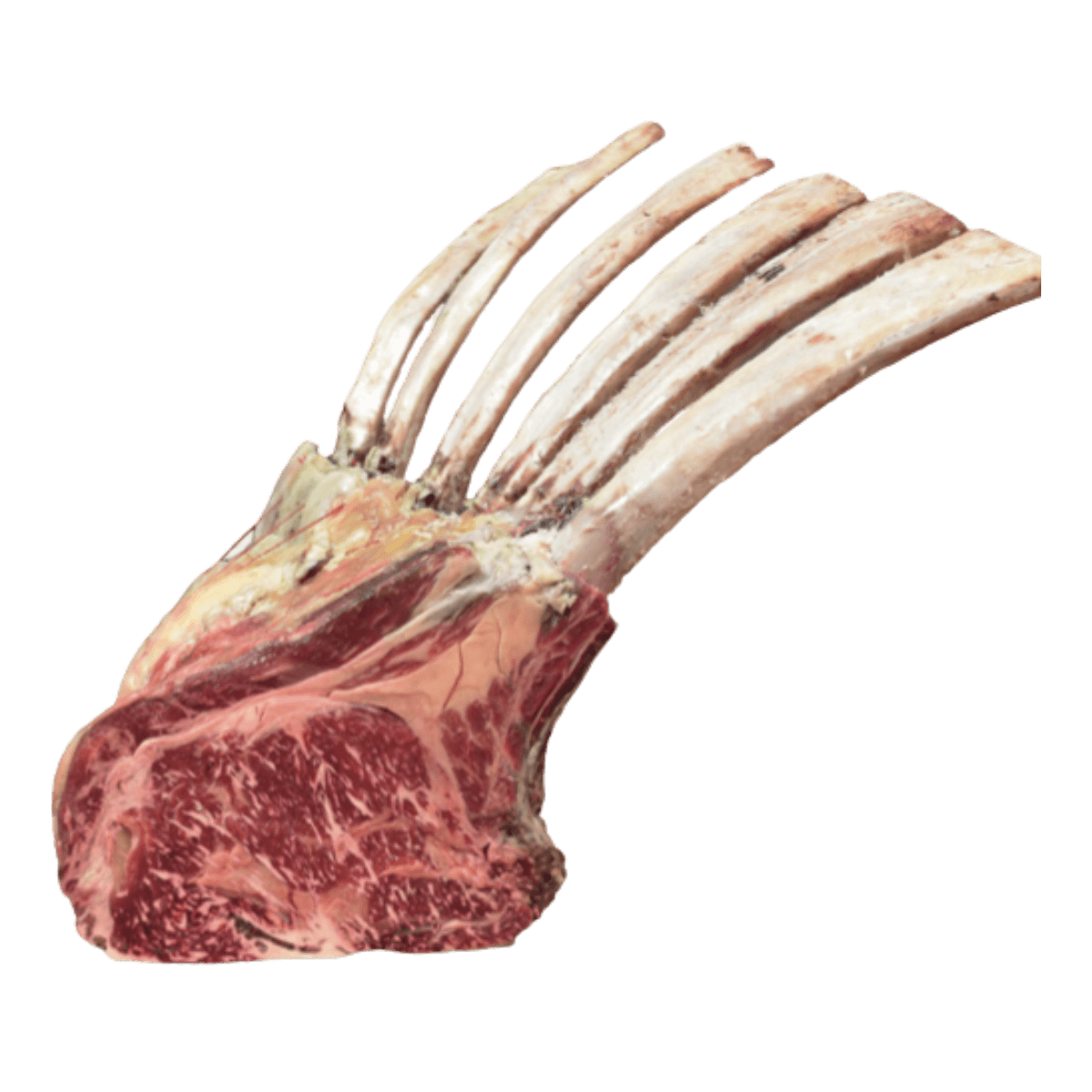 Tomahawk de bœuf X6C Tomahawk de bœuf X6C