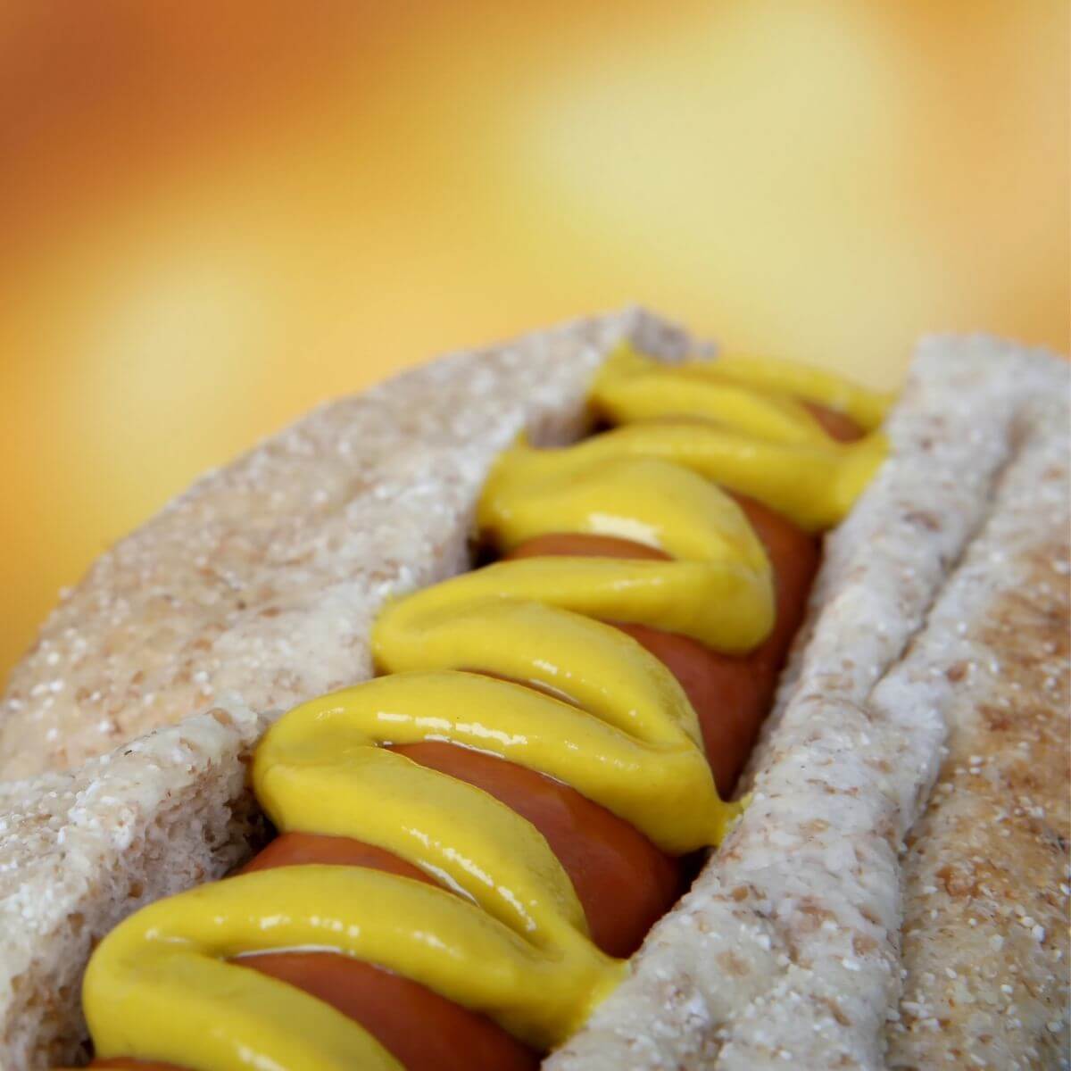 Sauce Moutarde de Dijon Les Maîtres Sauciers