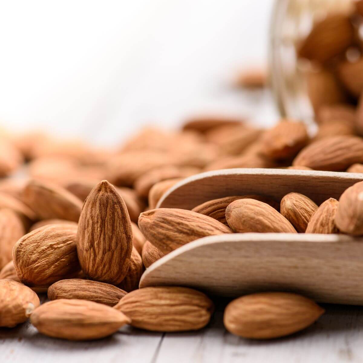 Amandes Frit Ravich Amandes Frit Ravich