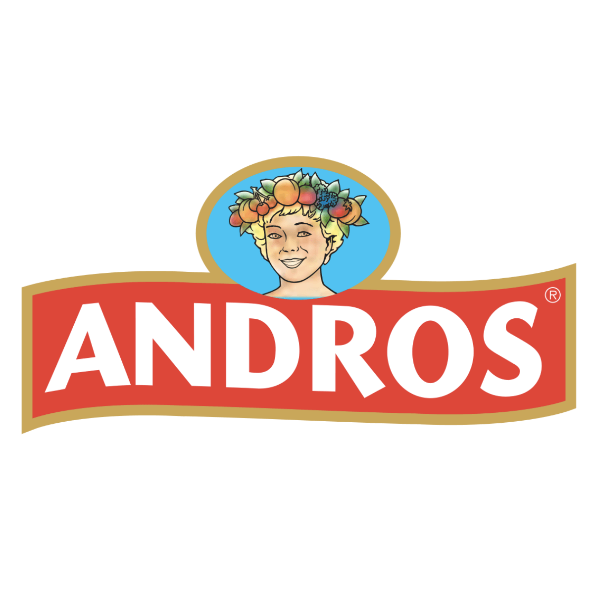 Logo Andros Logo Andros