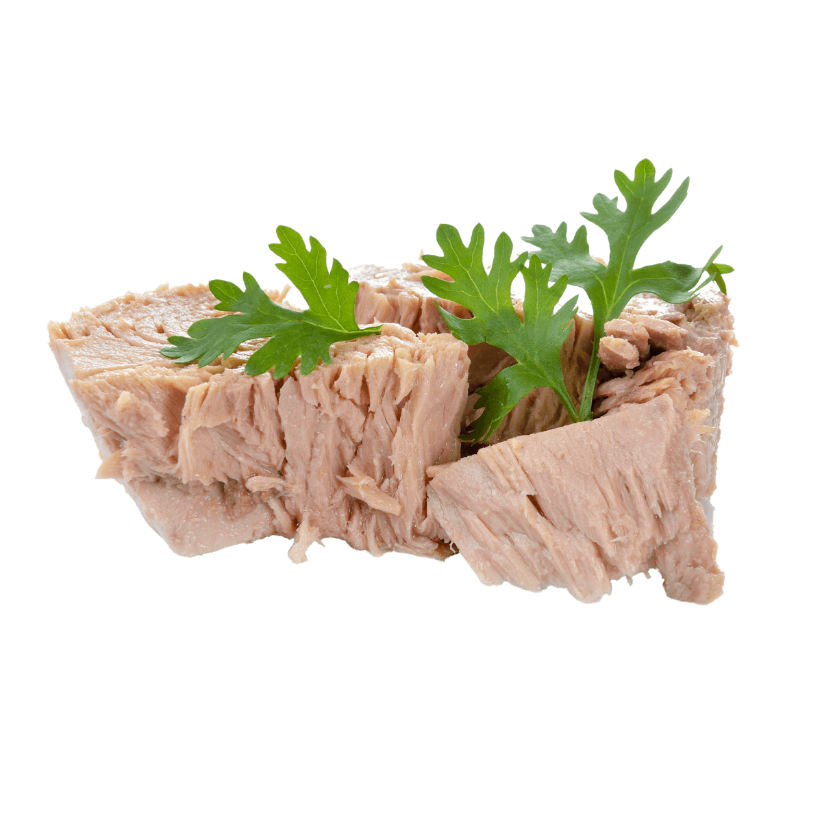 Thon naturel Thon naturel