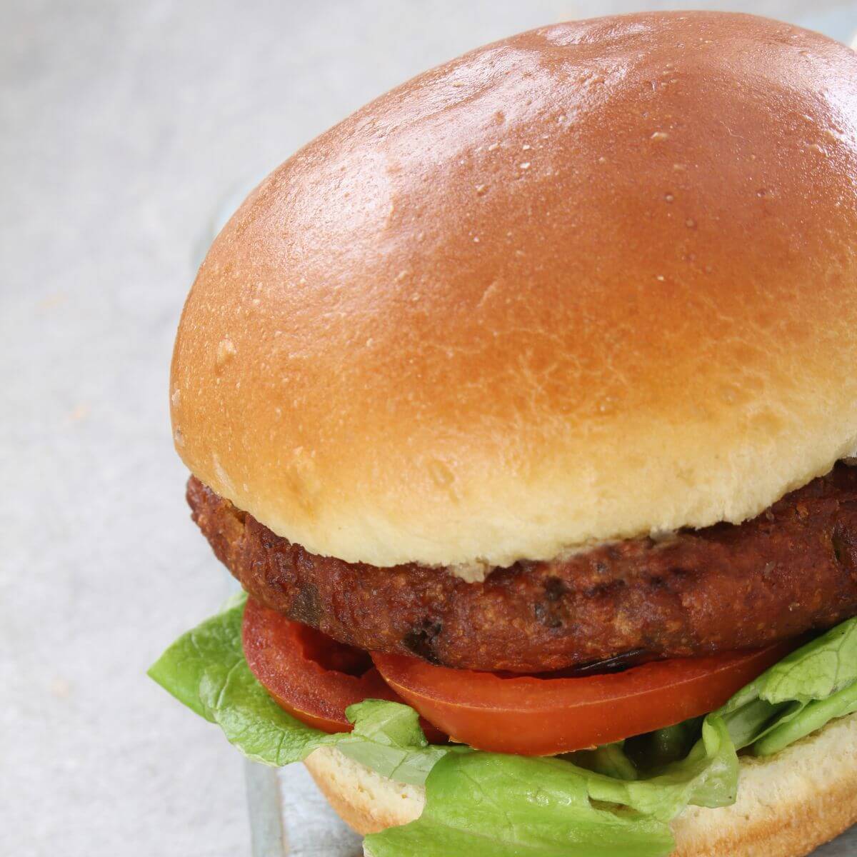 Brioche Hamburger Bun
