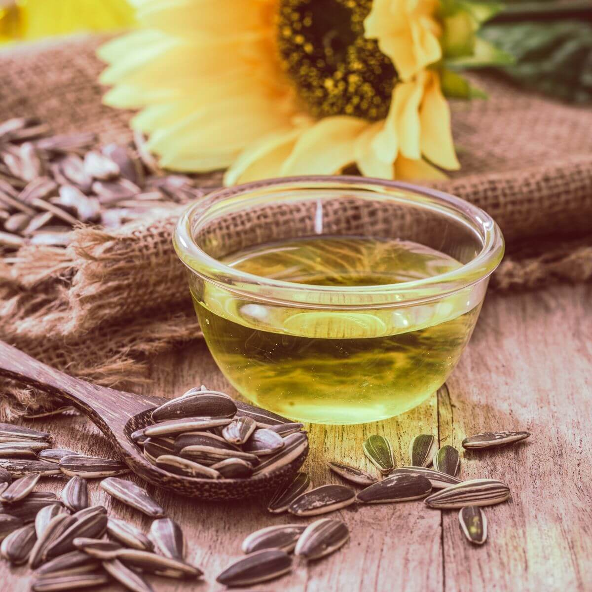 Huile de tournesol 10L Rhiko