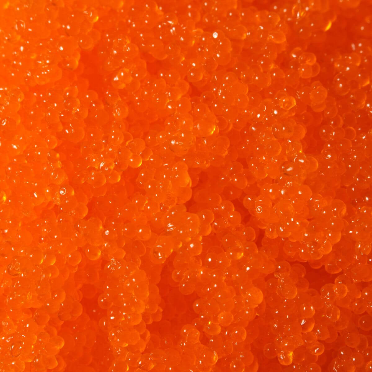 Oeuf capelan orange Oeuf capelan orange