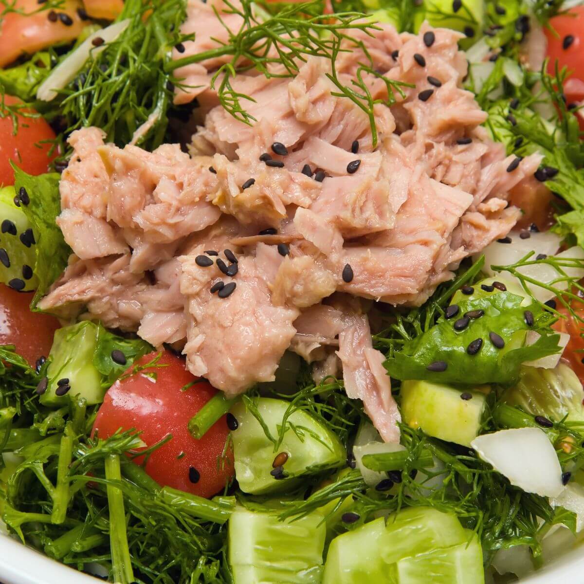 Thon à l’huile Thon à l’huile